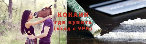 шишки Армянск