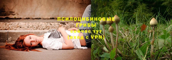 бошки Алексин