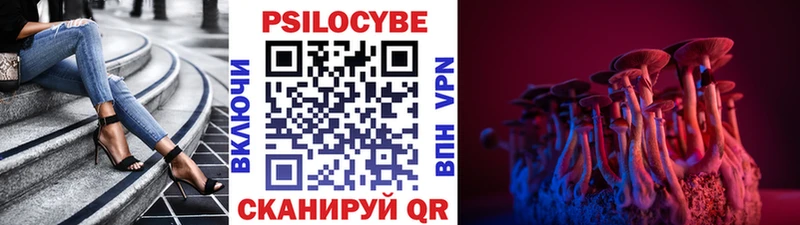 Галлюциногенные грибы прущие грибы  Купить  Тосно 