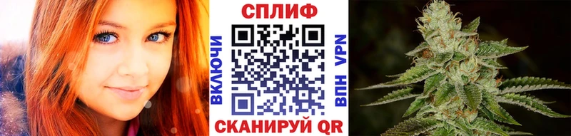 Бошки Шишки OG Kush  Купить где  Тосно 